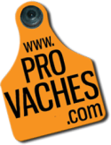 Provaches